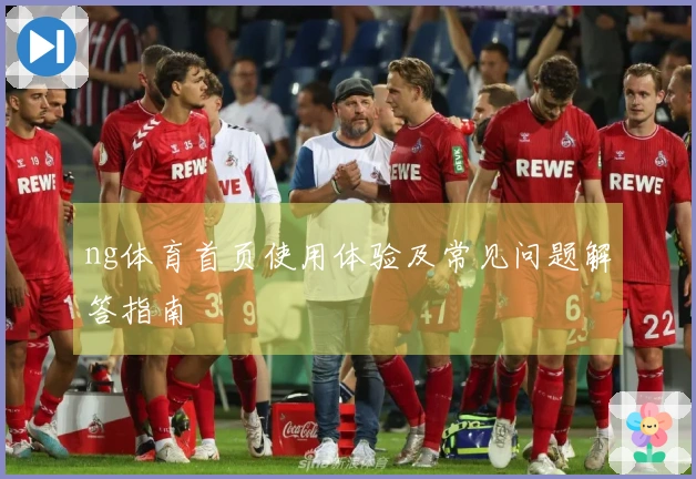 ng体育首页使用体验及常见问题解答指南