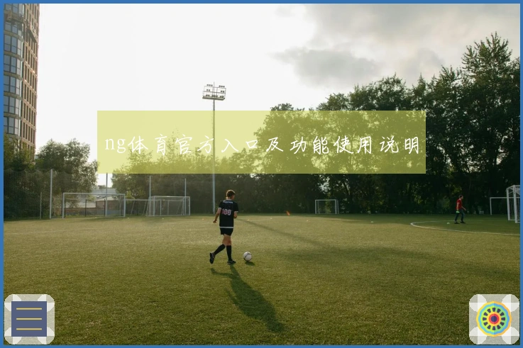 ng体育官方入口及功能使用说明