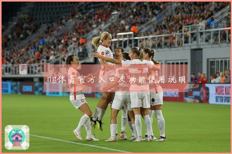 ng体育官方入口及功能使用说明
