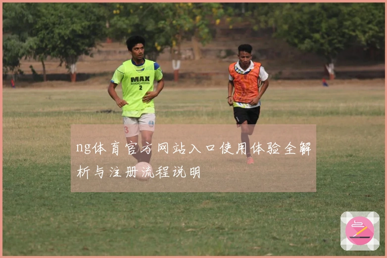 ng体育官方网站入口使用体验全解析与注册流程说明