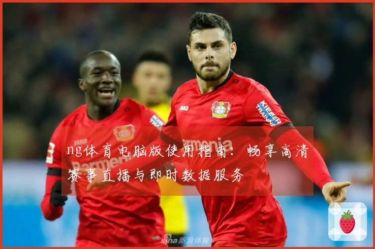 ng体育电脑版使用指南：畅享高清赛事直播与即时数据服务
