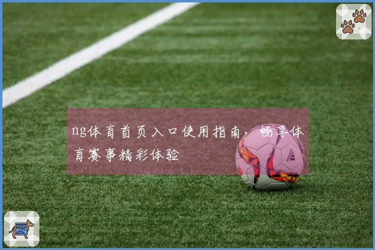 ng体育首页入口使用指南，畅享体育赛事精彩体验