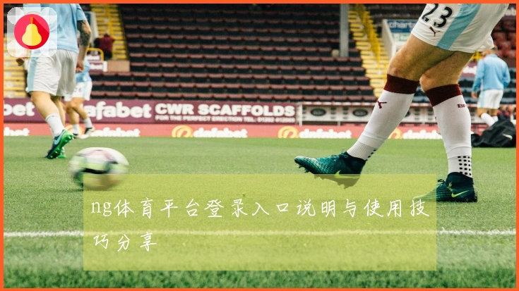 ng体育平台登录入口说明与使用技巧分享
